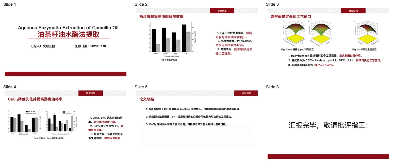 Literature Report Ppt Builder: 代码路线六页总览